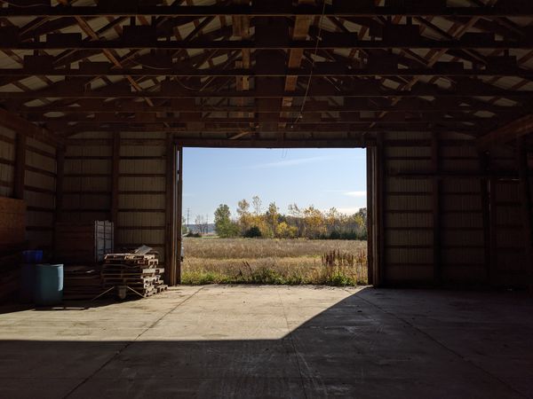 barn life