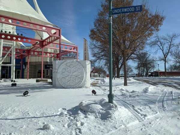 st. paul winter carnival