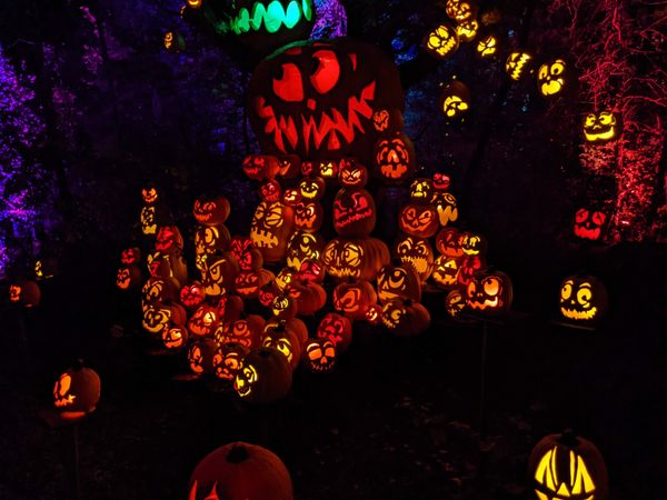 jack-o-lantern spectacular